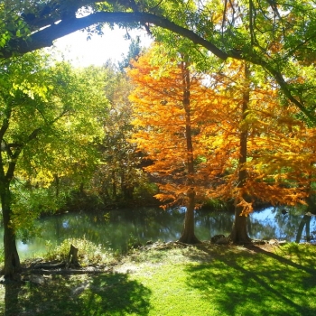 Fall at Christoval River Retreat